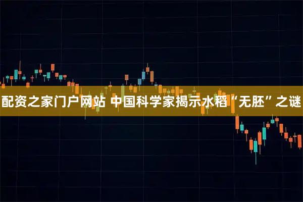 配资之家门户网站 中国科学家揭示水稻“无胚”之谜
